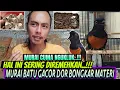 Lagu INI SERING DIREMEHKAN ⁉️ PADAHAL CUMA BEGINI SAJA BISA BIKIN MURAI BATU GACOR BONGKAR ISIAN