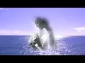 Download Lagu Gheorghe Gheorghiu   Să nu mă ntrebi