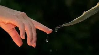 سيزرية غسيل الروح حضرة ازالة النحوسات والعكوسات و جلب الخيرات والمسرات 