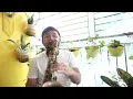 Download Lagu Buku Ende 471 Hupillit Jesus Donganki ( Saxophone Cover )
