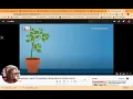 Science Chapter 1 Lesson 2 Photosynthesis
