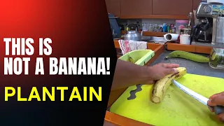 Plantain Is NOT a Banana! What Is Plantain and How to Cook It | Captain German Exploring