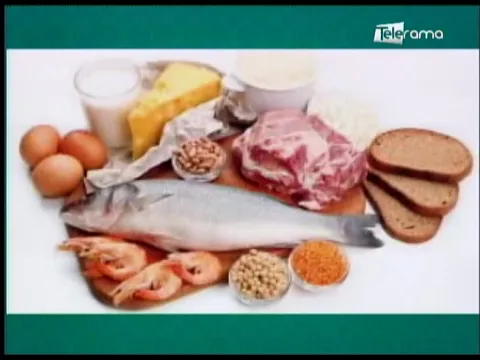 ¿Qué podría causar el exceso de proteína en nuestro cuerpo?