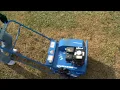 How to Promote Lawn Growth - Ace Hardware