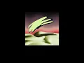 Feng Suave - Toking, Dozing (Legendado)