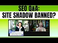 Did Google Shadow Ban My Website Massive Impressions Drop Explained