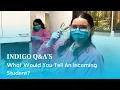 Indigo Q A s What Would You Tell An Incoming Student