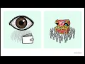 Day21Read dashboards Critically