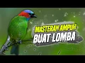 Download Lagu MASTERAN UNTUK BURUNG LOMBA SUARA JERNIH MATERI PALING JOS DI SUKAI JURI 2025