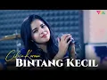 Download Lagu BINTANG KECIL - CILVIA KARONA (Official Music Video)