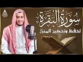 Download Lagu سورة البقرة كاملة, رقية للبيت, وعلاج للسحر | القارئ علاء عقل - Surah Al Baqarah