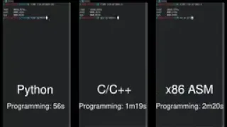Python Vs Vs Assembly side-by-side comparison