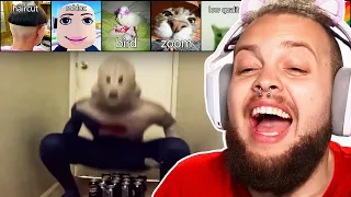 Unusual Memes That Stole My Foreskin real