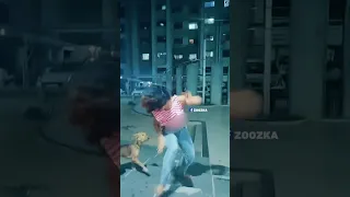                   دندنها