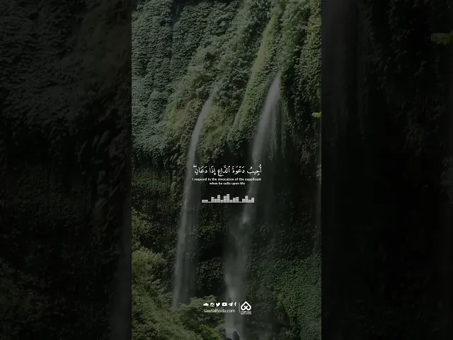 ⁣فاصل قرآني 