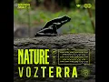 Piqueros - NATURE & Vozterra