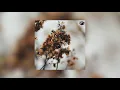 Misc.Inc - Nebula