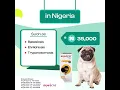 Bravecto is Affordable Here s why