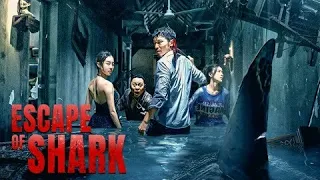 escape of shark 2021 full movie explained in bangla chinese movie explained in bangla 