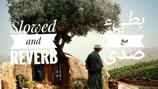                     عبد الباسط حمودة ودنيا سمير غانم   باب الحياة دندنها