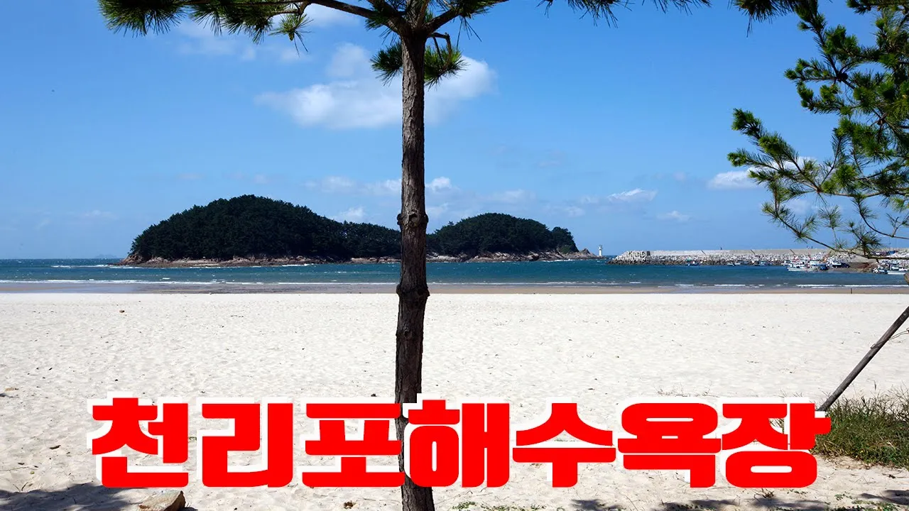 태안 천리포해수욕장 サムネイル