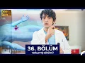 Mucize Doktor 36 Bolum Yenilenmis Goruntu