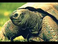Modjo - Music Takes You Back
