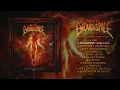 Not Enough Space - Weaponize Your Rage (Full Album)