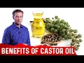 Interesting Benefits Of Castor Oil - Dr Berg
