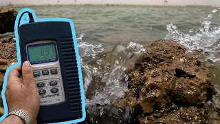 الملوحة ترتفع في شط العرب دندنها