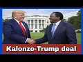 Lagu Kalonzo-Whitehouse America Invite deal worries Ruto's camp as WANTAM slogan spreads across kenya