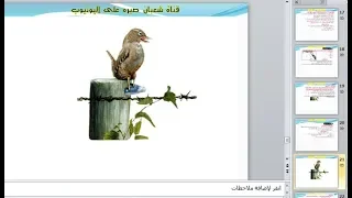 اضافة وتشغيل الصور والرسوم المتحركة فى شرائح البوربوينت ممكن تضع صورة متحركة ولا تتحرك اعرف السب 