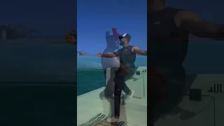 عشمان في مين يا حزين المنشد احمد حسن المنشد احمد حسن الاقصري ترند 