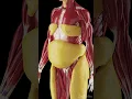 Download Lagu Growth of subcutaneous fat #meded  #anatomy
