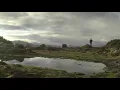 Yo la tengo - Green Arrow  (Unofficial)