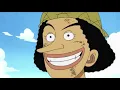 Straw Hat Pirates One Piece Wiki FANDOM powered by Wikia