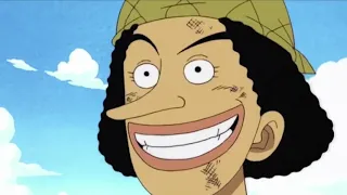 Straw Hat Pirates One Piece Wiki FANDOM powered by Wikia