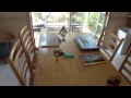 elevaTOURS Hotel Tour Chincoteague Island Vacation Cottages Summer Winds Cottage