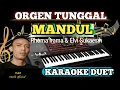 Download Lagu Karaoke Dangdut Orgen Tunggal - Mandul ( DUET )