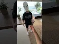 Episode II: how to do a handshake @avemoves