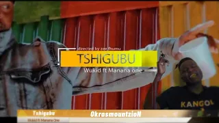 wukid ft manana one tshigubu official music video reaction tbt addition