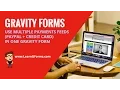 Learn Gravity Forms - Use multiple payments feeds on one form