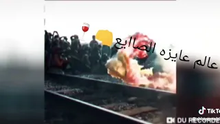 ضايع شارو وقالوانا بايع عالم عايزه الصايع والى انتم عيزينه 