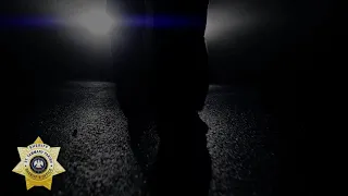 STPSO - Strategic Goals