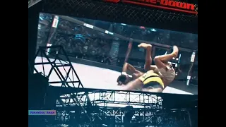 Modern Day Dhobi Pachar Sultan Slam Salman Khan MMA Fight 