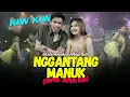 Download Lagu Shinta Arsinta Feat Arya Galih  - EMPUK JERUH | Nggantang Manuk [Official Music Video]
