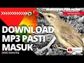 Download Lagu ciblek sawah ngbren nembak panjang vs burung lovebird ngkek ngetik fighter gacor fighter | Mastering