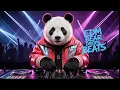 Download Lagu DJ Bear's HOTTEST 2025 Tracks!