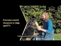 Watch Vet Dr Ellen Mina s Story - PRO PLAN BRIGHT MIND Dog Food