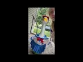 Review and dress up of back to school porch goose outfit